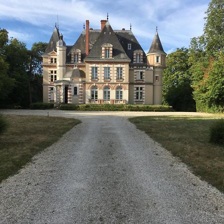 Chateau De Praslins Nogent-sur-Vernisson Esterno foto