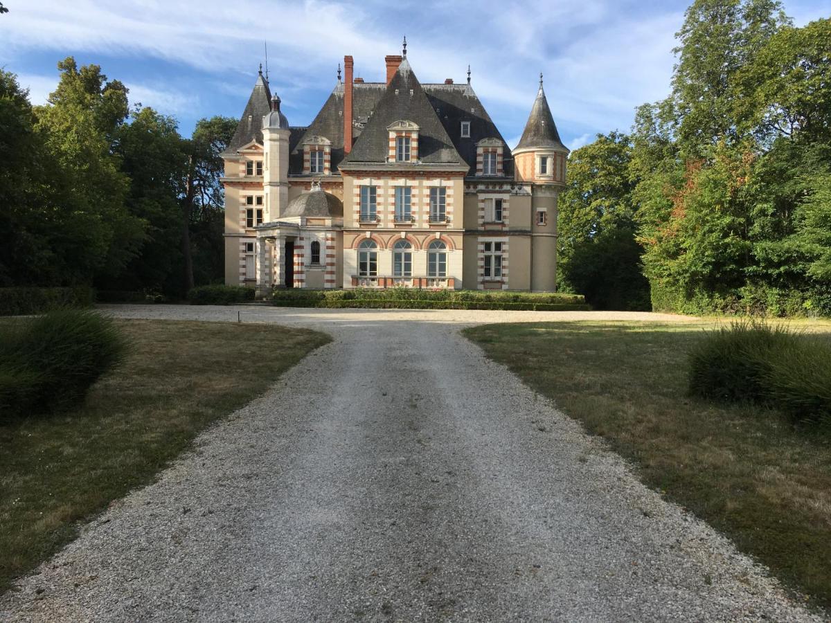 Chateau De Praslins Nogent-sur-Vernisson Esterno foto