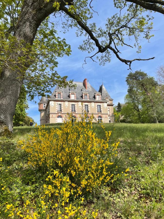 Chateau De Praslins Nogent-sur-Vernisson Esterno foto