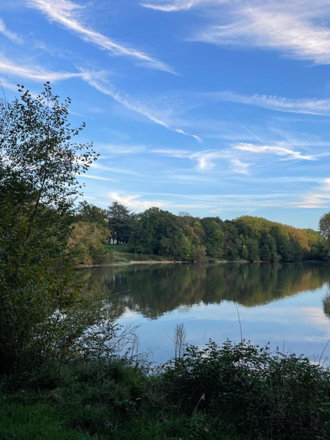Chateau De Praslins Nogent-sur-Vernisson Esterno foto