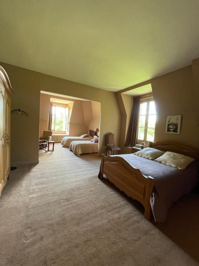Chateau De Praslins Nogent-sur-Vernisson Esterno foto