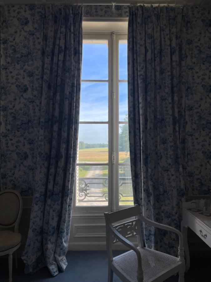 Chateau De Praslins Nogent-sur-Vernisson Esterno foto